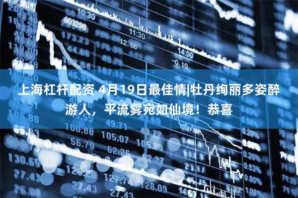 上海杠杆配资 4月19日最佳情|牡丹绚丽多姿醉游人，平流雾宛如仙境！恭喜